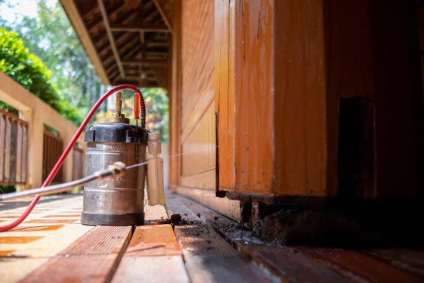 Pest Prevention Services in Layhill, MD